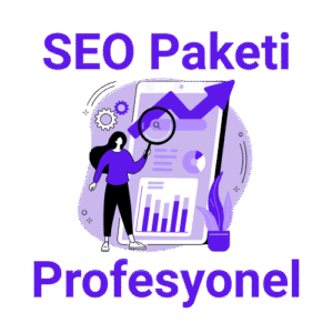SEO Profesyonel Paketi – Kurumsallaşma Sürecindeki İşletmelere Özel